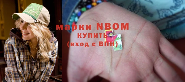 метадон Няндома