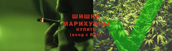 метадон Няндома