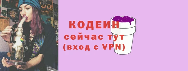 метадон Няндома