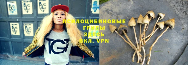 гашиш Осташков
