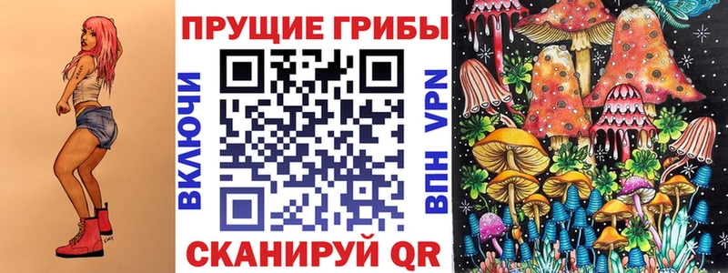 Псилоцибиновые грибы мицелий Шимановск